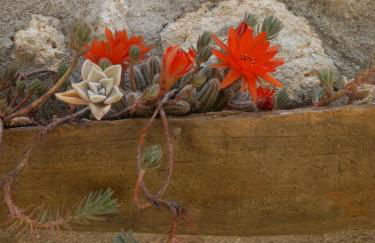 Autenticum Agriturismo Tolfa - Foto 2