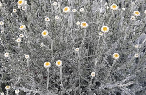 Kuća za odmor Pušlek - Foto 29