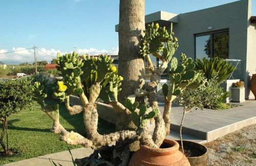 Electra Studios - Foto 104