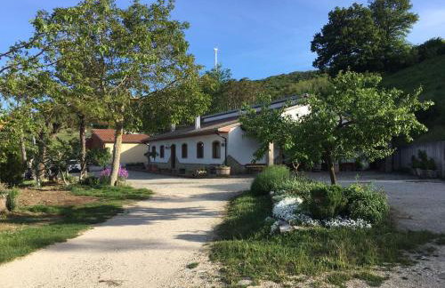 Agriturismo Il Regio Tratturo - Foto 6