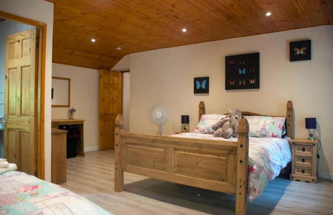 Snowdonia-3bedroom-2 Bathroom-petfriendly-garden - Photo 8