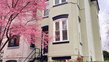 Cherry Blossom Charm - Foto 5