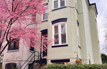 Cherry Blossom Charm - Foto 5