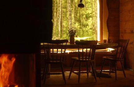 Biały Las Magiczna Stara Chata Puszcza Białowieska - Foto 17