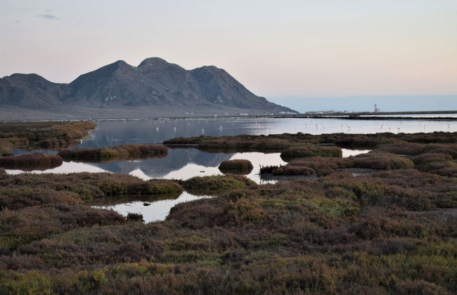 Cortijo la Molina de Cabo de Gata - Foto 36