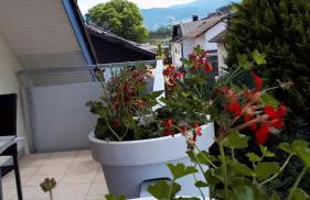 Wohlfühlwohnung am Fuße des Schwarzwaldes - Foto 8