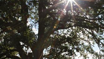 Ferienwohnungen / Ferienhaus Wahlers - Foto 5