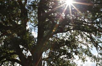 Ferienwohnungen / Ferienhaus Wahlers - Foto 5