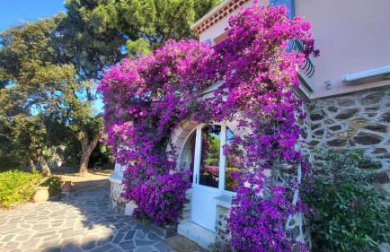 Rayol vue mer jardin plage à pied - St-Tropez 25km - Foto 33