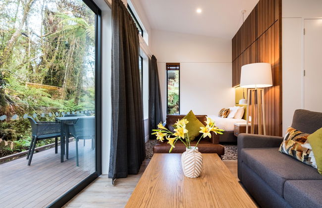 Rainforest Deluxe - Photo 19