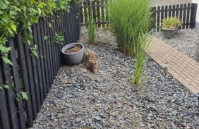 De Hecksche Stuuv - Foto 14