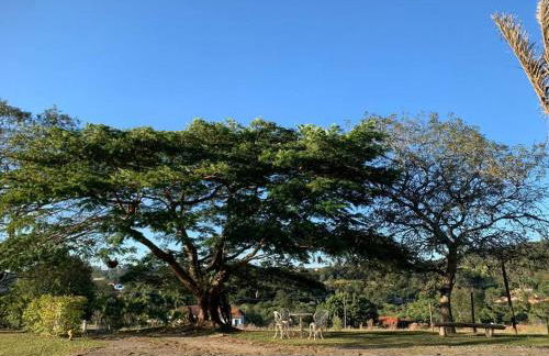 Quarto dos Vinhos - Foto 11