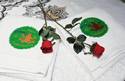 Salamanca Frog - Foto 19