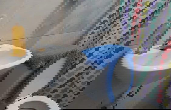 El Aguacate - Foto 7