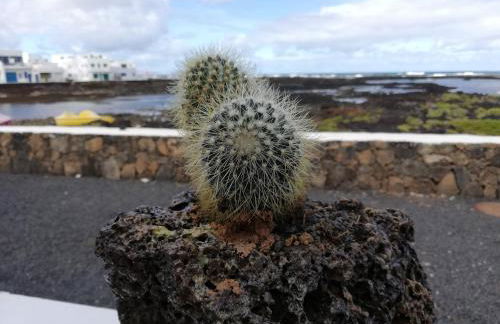 mirador del roque 2 - Foto 3