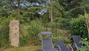 La casa gialla - Foto 2