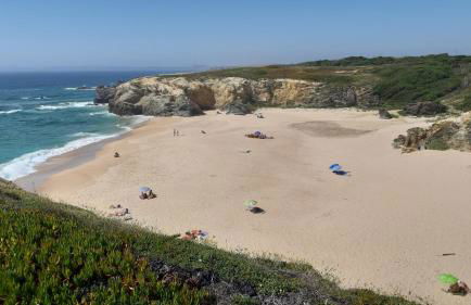 Gecko Pego Longo - Foto 28