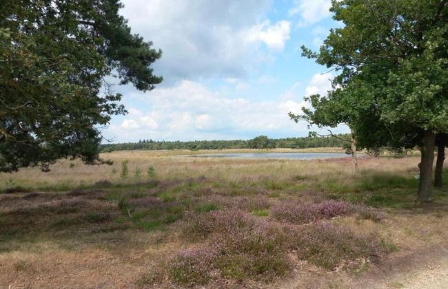 Bungalow in De Peel by Forest Retreat - Photo 29