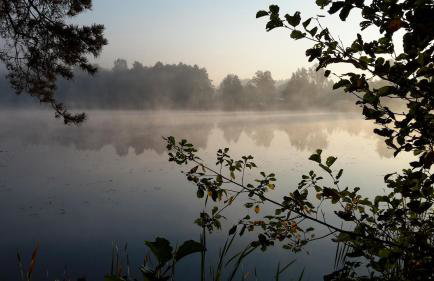 Birchy Hills - Foto 8