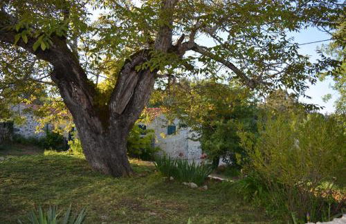 Casa da Pedra - Foto 8