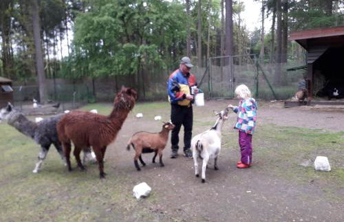 Heidehaus Hodenhagen - Photo 6