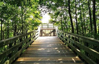 Sielanka Wydmy i Las - Foto 69