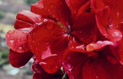 Teresa al Belvedere Rooms&HolidayApartments Camere&Appartamenti - Foto 80