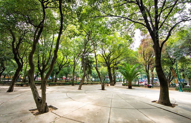 Parkfront PH Private Terrace Near Polanco - Foto 13