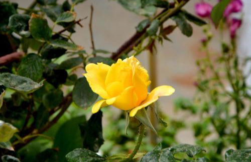 Maganas Hotel - Foto 27