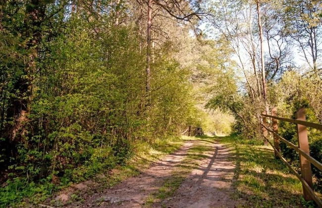 In The Woods Lodge With hot tub Inside Puszcza Knyszyśnka - Two-bedroom Villa - Photo 11