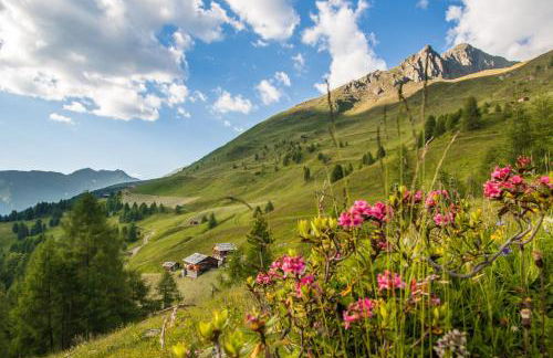 Residence Bannwald - Photo 3