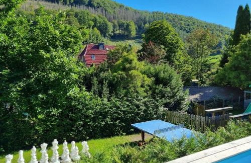 Gruppenunterkunft-Klein-Holland-Harz-aussergewoehnlich-und-einzigartig-mit-grossartiger-Unterhaltung-fuer-jedes-Alter-fuer-bis-zu-24-Personen - Foto 68