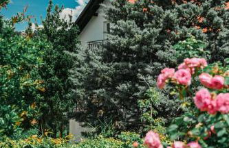 Petra Hills Majestic - Foto 61