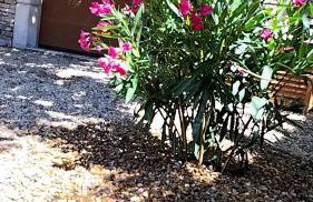 La perle de Gordes - Photo 79