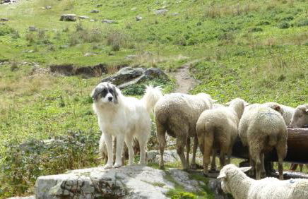 Résidence Les Ecrins - Foto 15