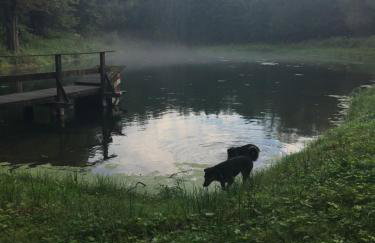 Polanka Agroturystyka i Konie - Foto 6