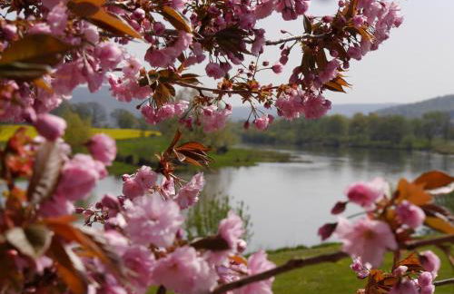 Ferienwohnung Weserblick Polle - Foto 7