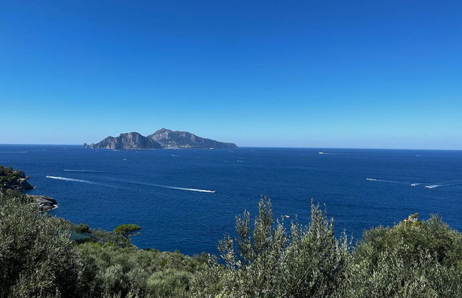 Giardino Caprese - Foto 26