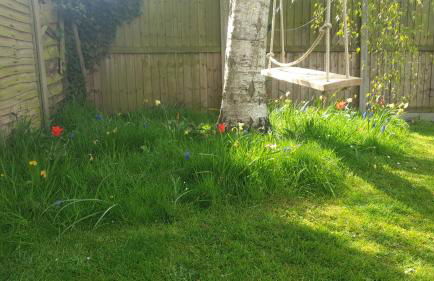 Island Retreat with HotTub - Foto 19