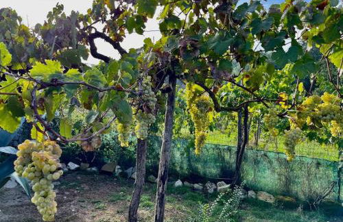 Villa de Luccheri - Foto 8