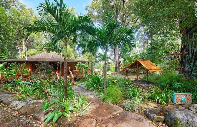 Hawaiian Dream Temple - Foto 18