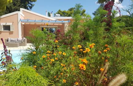 Ponderosa Kefalonia - Photo 71