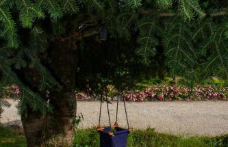 Villa Giulia - Foto 6