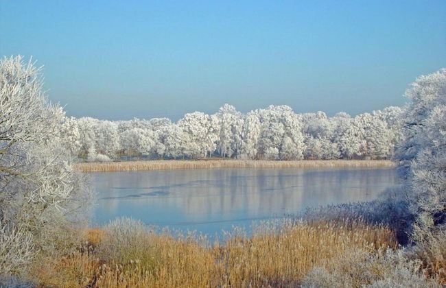 Spacious Holiday Home in Sommerfeld near Lake - Foto 26