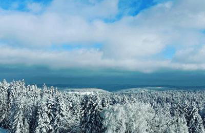Beskidzki Zakątek Krynica-Zdrój - Photo 47