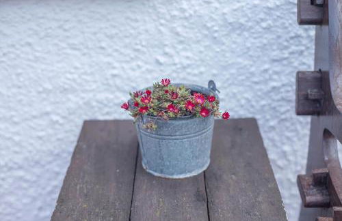 Tri Pysgodyn - Photo 28