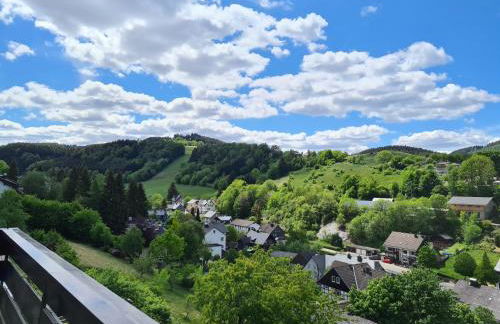 Panoramablick Willingen Schwalefeld - Foto 16
