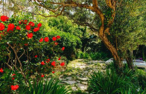 Apartment Marghareta - Foto 23