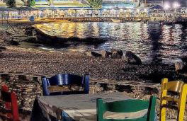 North eye - Photo 40