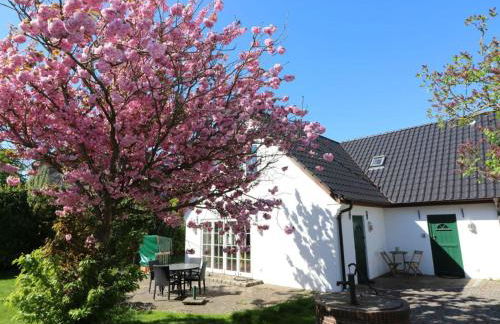 Holiday home in Morsum Sylt with Wi-Fi - Photo 19